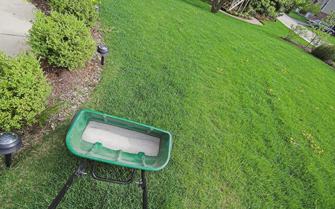 The Ultimate Guide to Lawn Fertilization: Achieve a Lush and Healthy Lawn